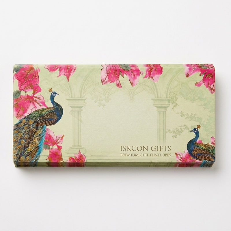 Envelope 373 Big Size Pack of 10 – Office & Gift Use