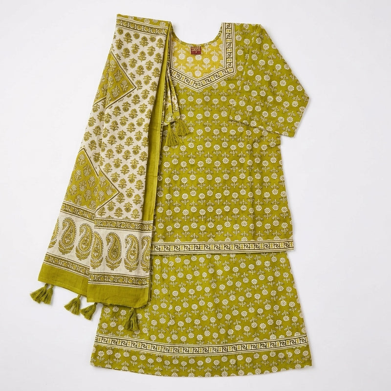 Gopi Skirt and Top Set Size 36